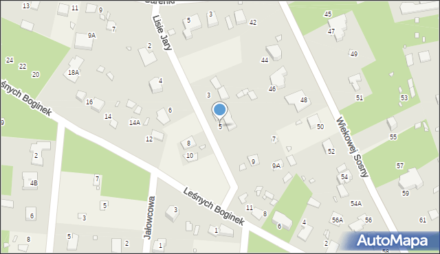 Zalesie Górne, Lisie Jary, 5, mapa Zalesie Górne