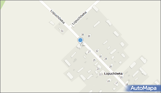 Łopuchówka, Łopuchówka, 29A, mapa Łopuchówka