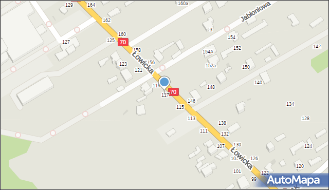 Skierniewice, Łowicka, 117, mapa Skierniewic