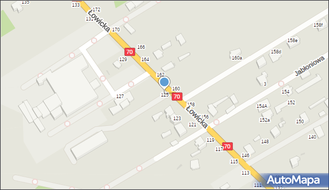 Skierniewice, Łowicka, 125, mapa Skierniewic