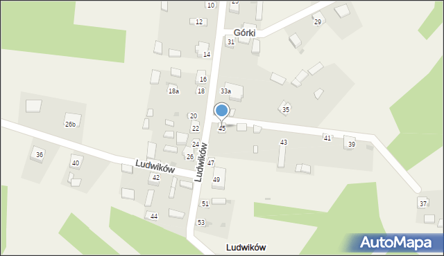 Ludwików, Ludwików, 45, mapa Ludwików