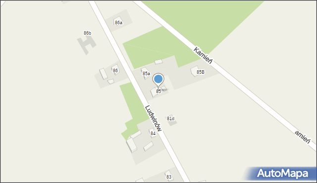 Ludwinów, Ludwinów, 85, mapa Ludwinów