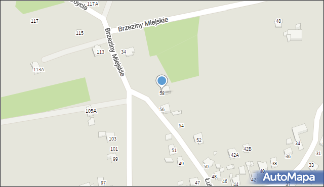 Rybnik, Łukasiewicza Ignacego, 58, mapa Rybnika