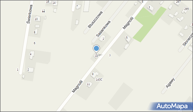 Bielicha, Magnolii, 12, mapa Bielicha