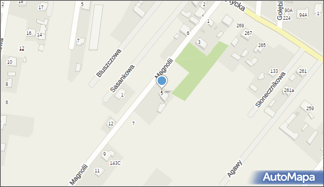 Bielicha, Magnolii, 5, mapa Bielicha