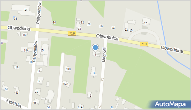 Brwinów, Magnolii, 1, mapa Brwinów