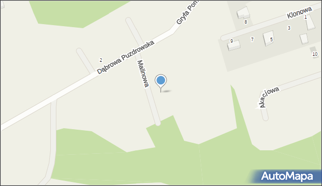 Dąbrowa Puzdrowska, Malinowa, 5, mapa Dąbrowa Puzdrowska