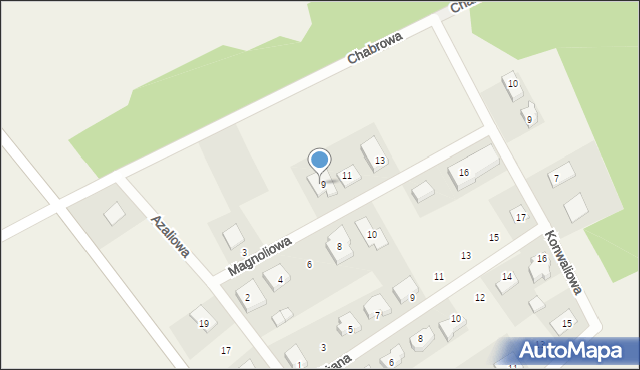 Dobryszyce, Magnoliowa, 9, mapa Dobryszyce