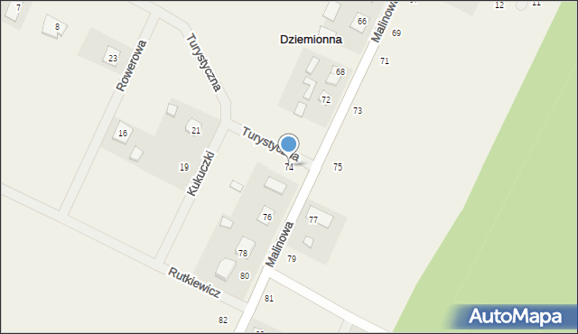 Dziemionna, Malinowa, 74, mapa Dziemionna