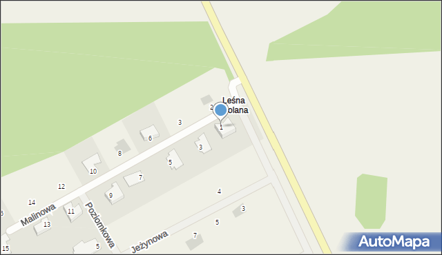 Leśna Polana, Malinowa, 1, mapa Leśna Polana