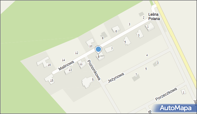 Leśna Polana, Malinowa, 9, mapa Leśna Polana