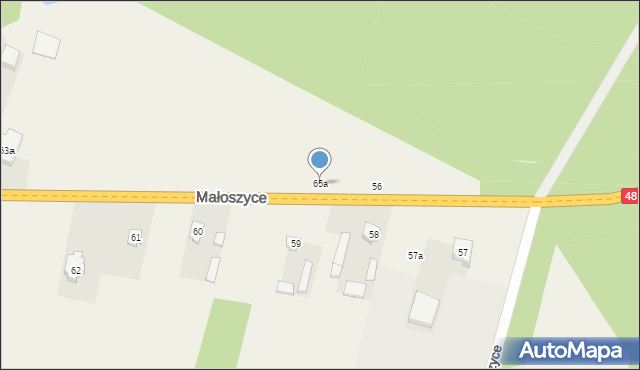 Małoszyce, Małoszyce, 65a, mapa Małoszyce