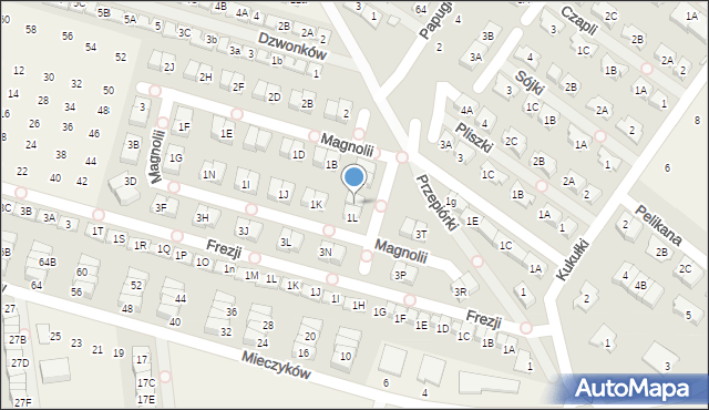 Nowa Wola, Magnolii, 1W, mapa Nowa Wola