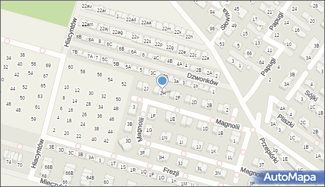 Nowa Wola, Magnolii, 2H, mapa Nowa Wola