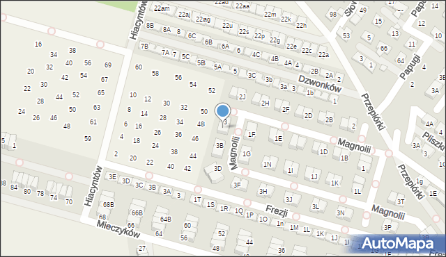 Nowa Wola, Magnolii, 3A, mapa Nowa Wola