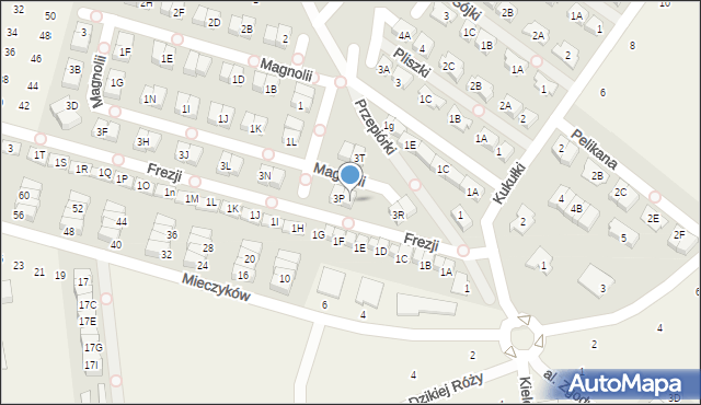 Nowa Wola, Magnolii, 3Q, mapa Nowa Wola