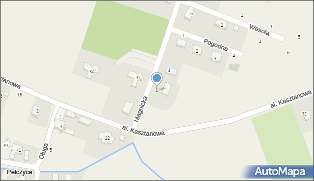 Pełczyce, Magnicka, 2, mapa Pełczyce
