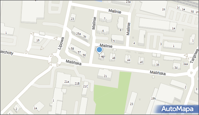 Pleszew, Malińska, 54, mapa Pleszew