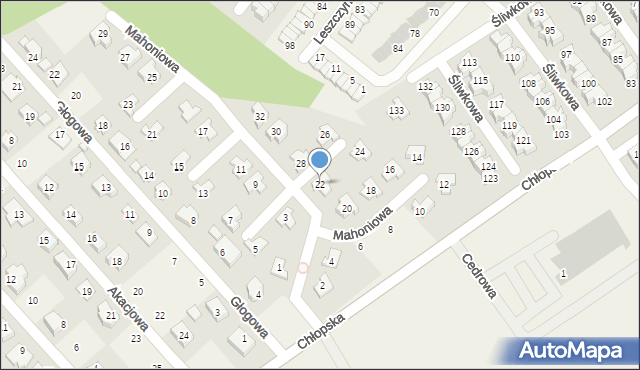 Smolec, Mahoniowa, 22, mapa Smolec