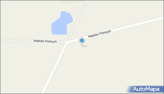 Trzebiszewo, Maków Polnych, 9, mapa Trzebiszewo