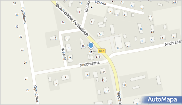 Drelów, Męczenników Podlaskich, 37, mapa Drelów