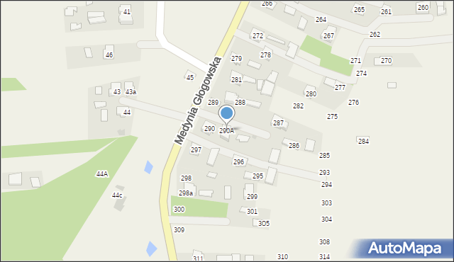 Medynia Głogowska, Medynia Głogowska, 290A, mapa Medynia Głogowska