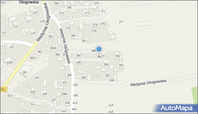 Medynia Głogowska, Medynia Głogowska, 391, mapa Medynia Głogowska