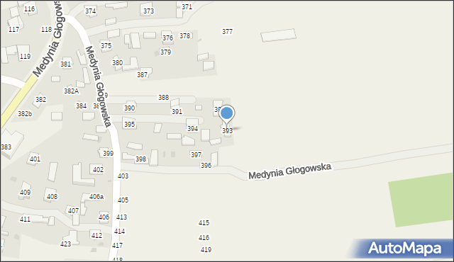 Medynia Głogowska, Medynia Głogowska, 393, mapa Medynia Głogowska
