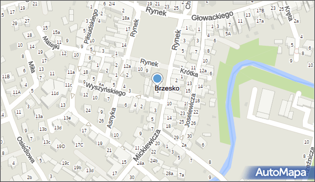 Brzesko, Mickiewicza Adama, 1, mapa Brzesko