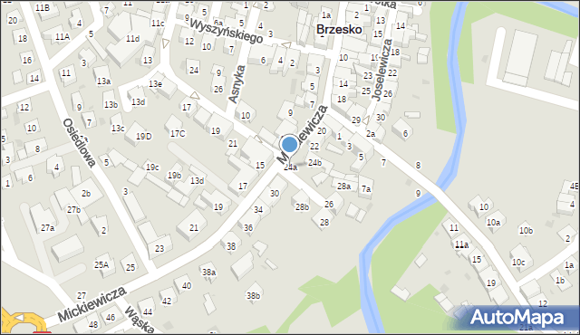 Brzesko, Mickiewicza Adama, 24a, mapa Brzesko