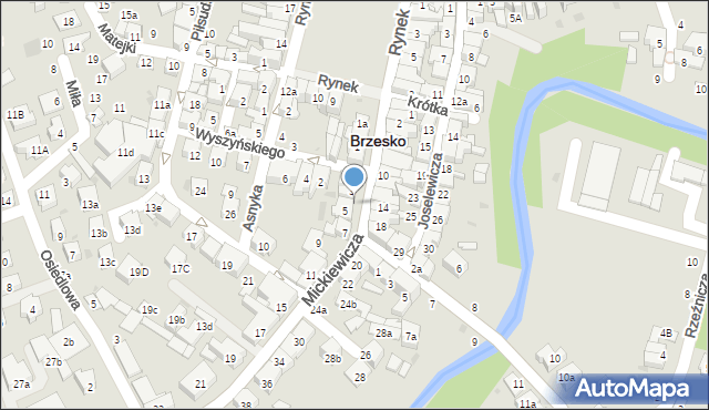 Brzesko, Mickiewicza Adama, 5a, mapa Brzesko