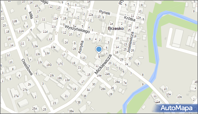 Brzesko, Mickiewicza Adama, 9, mapa Brzesko