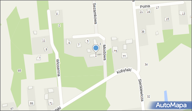 Ćmińsk, Miodowa, 1, mapa Ćmińsk