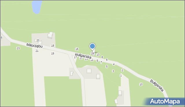 Czarny Las, Miłorzębu, 14, mapa Czarny Las