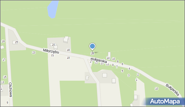 Czarny Las, Miłorzębu, 16, mapa Czarny Las