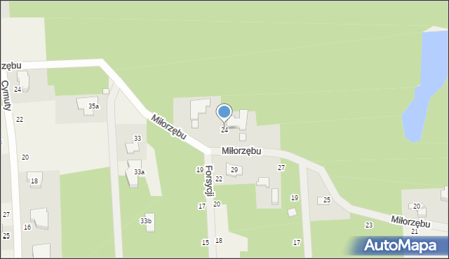 Czarny Las, Miłorzębu, 24, mapa Czarny Las