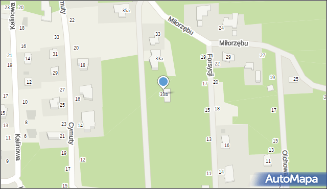 Czarny Las, Miłorzębu, 33b, mapa Czarny Las