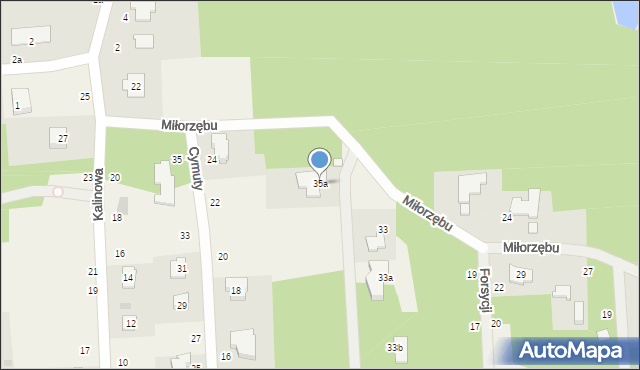 Czarny Las, Miłorzębu, 35a, mapa Czarny Las