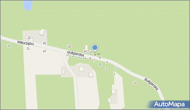 Czarny Las, Miłorzębu, 8, mapa Czarny Las