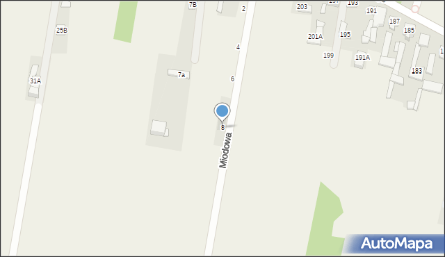 Cząstków Polski, Miodowa, 8, mapa Cząstków Polski