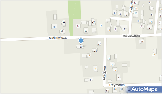 Gołuchów, Mickiewicza Adama, 19, mapa Gołuchów