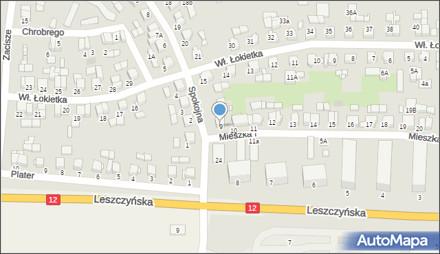 Gostyń, Mieszka I, 9, mapa Gostyń