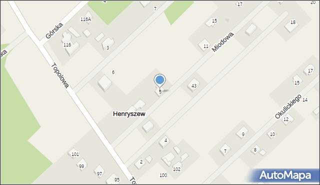 Henryszew, Miodowa, 5, mapa Henryszew