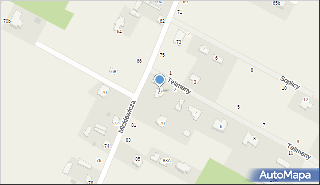Janów, Mickiewicza Adama, 77, mapa Janów
