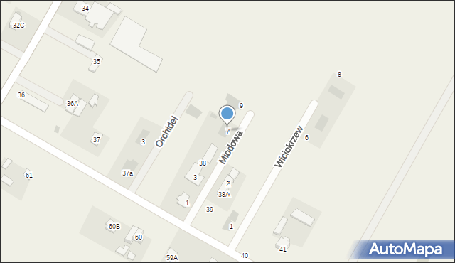 Kazimierzówka, Miodowa, 7, mapa Kazimierzówka