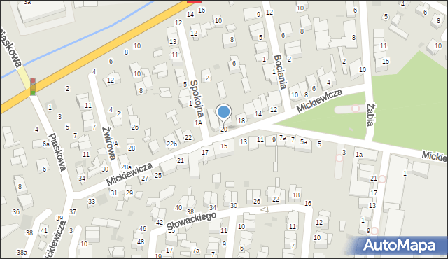 Łowicz, Mickiewicza Adama, 20, mapa Łowicza