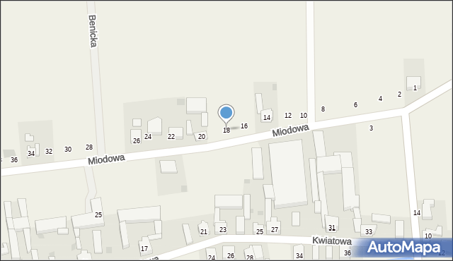 Lutogniew, Miodowa, 18, mapa Lutogniew