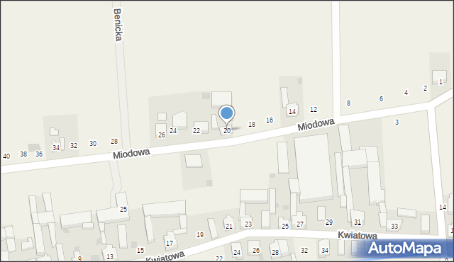 Lutogniew, Miodowa, 20, mapa Lutogniew