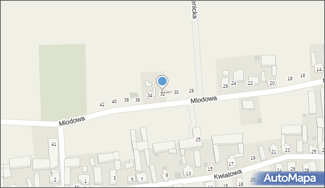 Lutogniew, Miodowa, 32, mapa Lutogniew