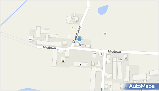 Lutogniew, Miodowa, 58, mapa Lutogniew